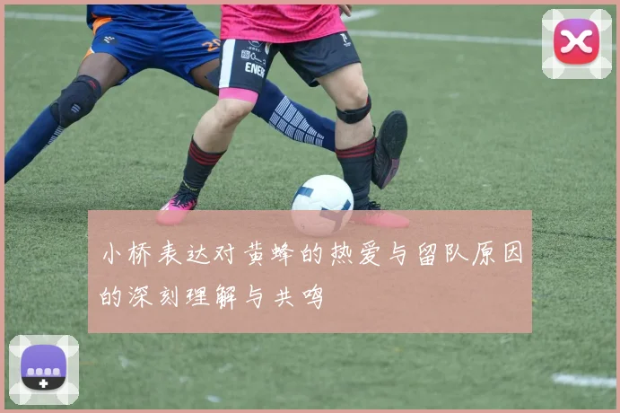 小桥表达对黄蜂的热爱与留队原因的深刻理解与共鸣
