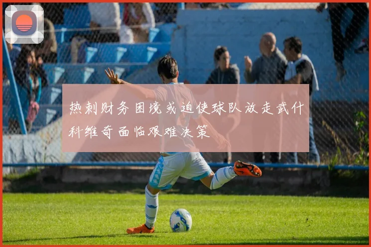 热刺财务困境或迫使球队放走武什科维奇面临艰难决策